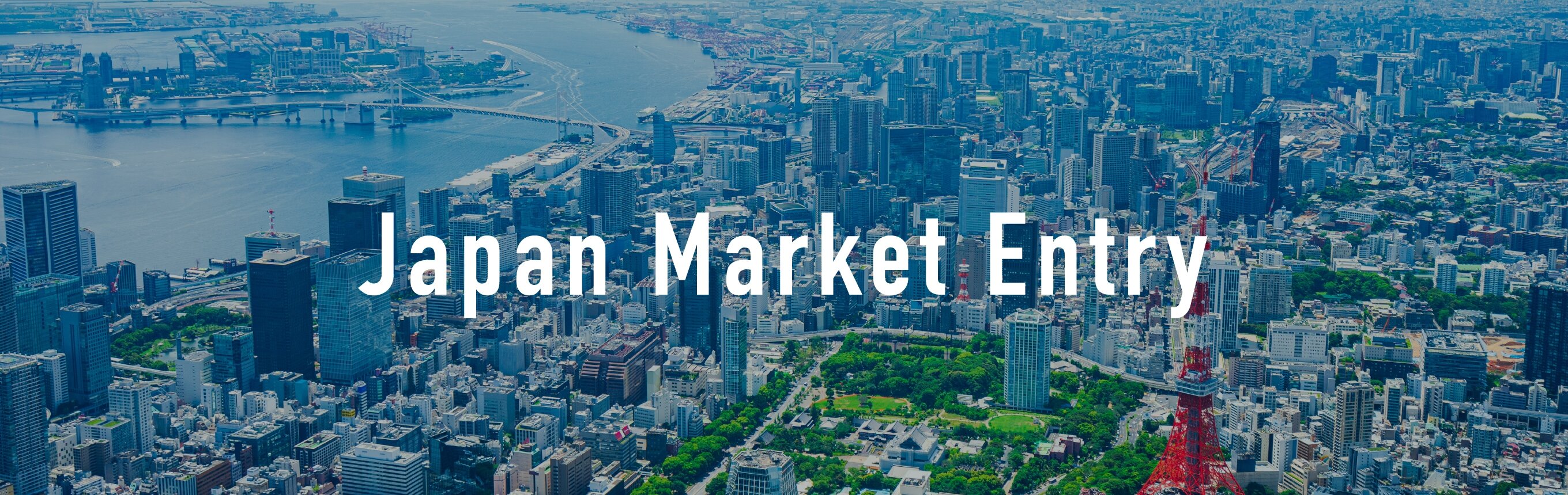 Japan Market Entry