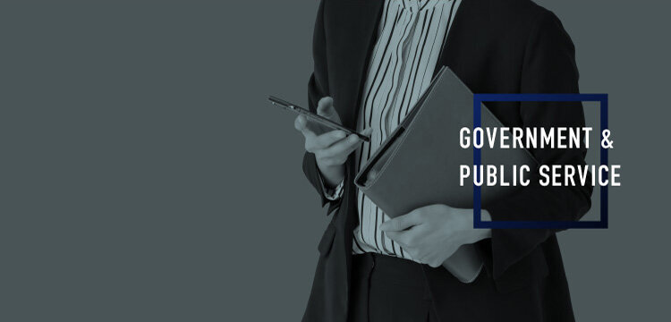 GOVERNMENT ＆ PUBLIC SERVICE Consulting Menu