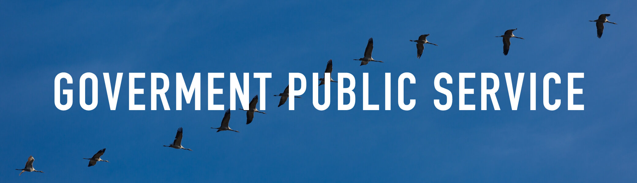 GOVERMENT PUBLIC SERVICE