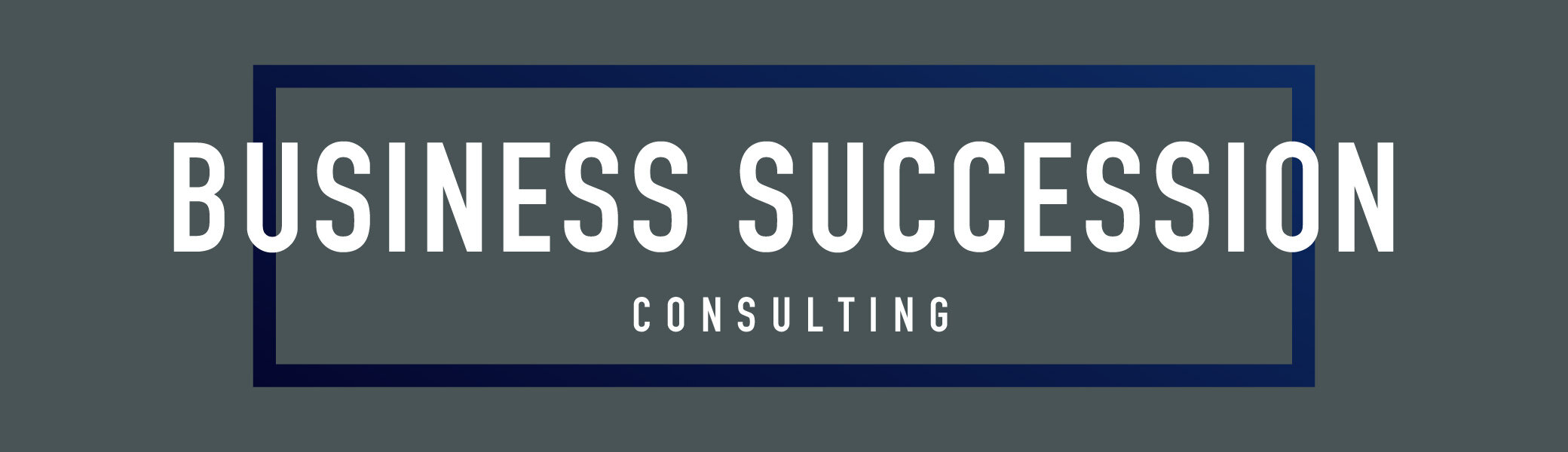BUSINESS SUCCESSION CONSLUTING