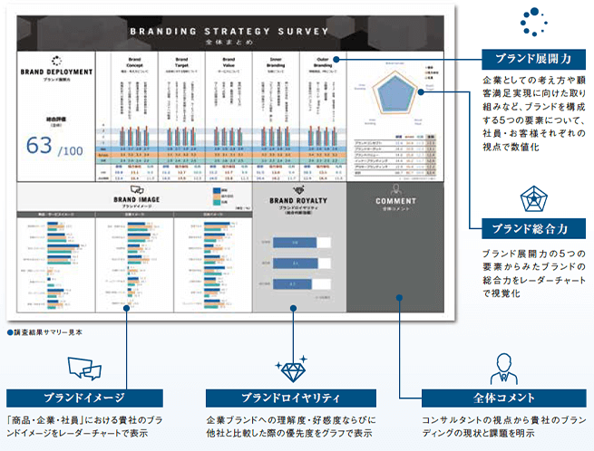 ＜レポートイメージ＞調査結果サマリー