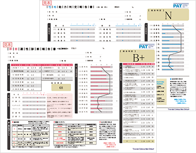 人財成長サポートシステム 診断結果サンプル