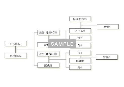 株主構成・親族図における資本政策上の課題点の整理