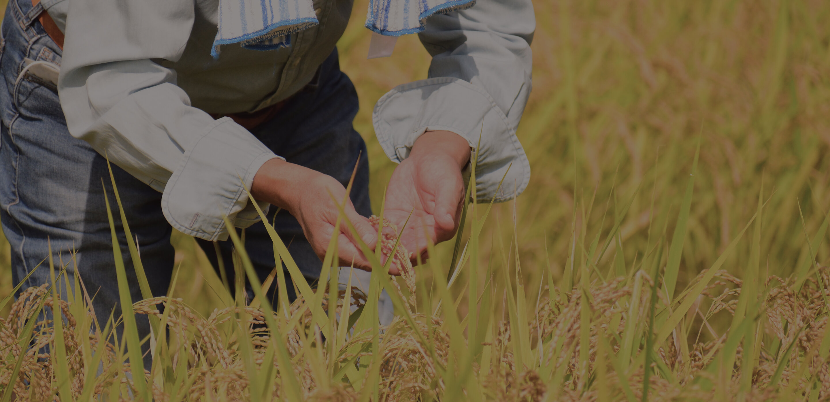 人的資本経営コンサルティング