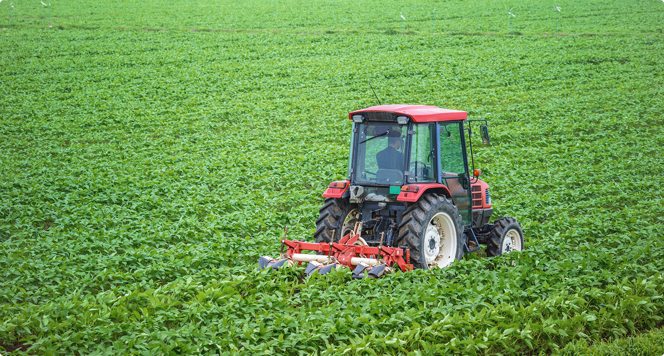 ビジネスモデル改革コンサルティング