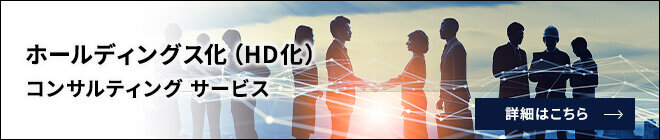 ホールディング経営支援コンサルティング サービス