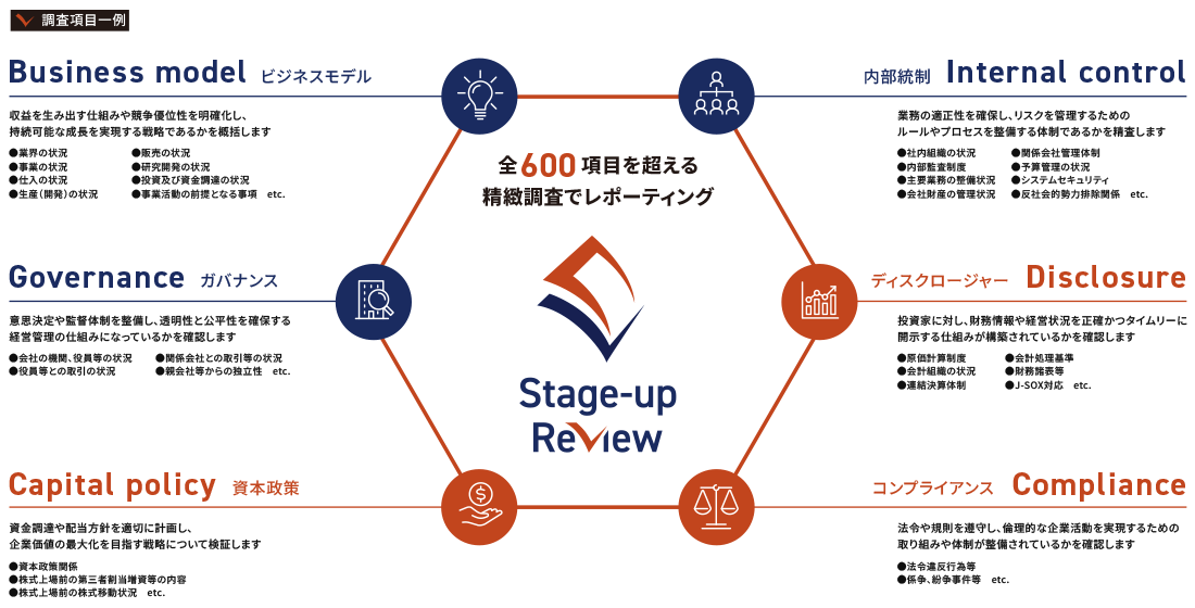 Stage-up Review（予備調査）のチェック項目例