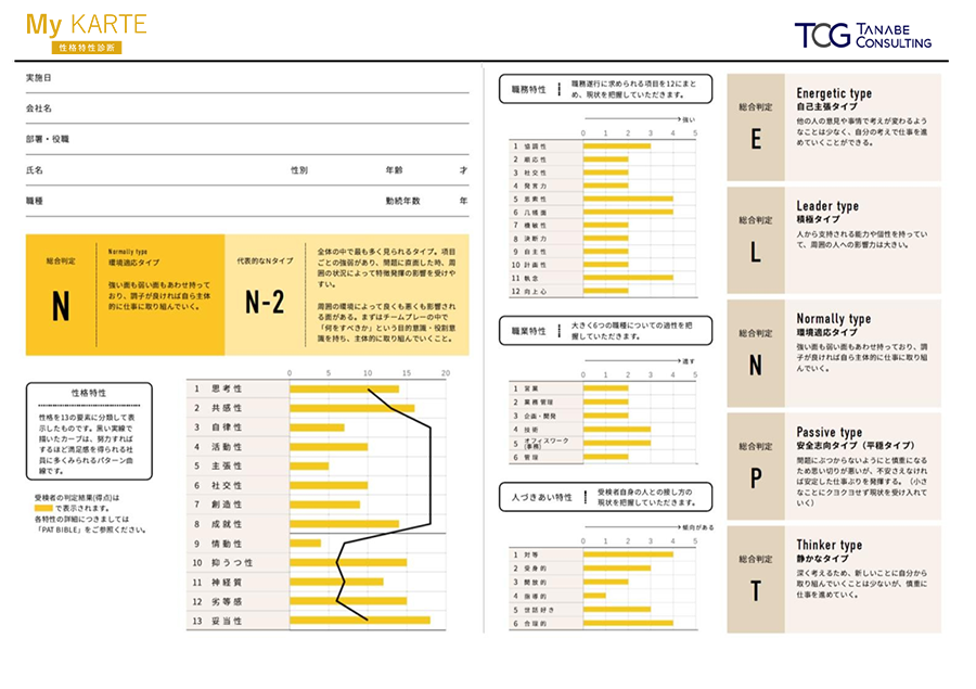 My KARTE（自分カルテ・性格能力判定）の判定報告書の例