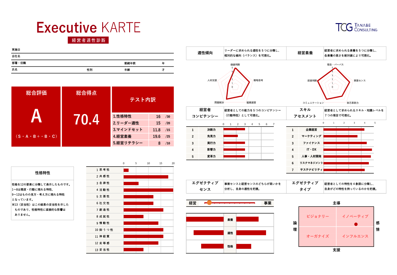 Executive KARTE(経営者適性診断)レポートの例