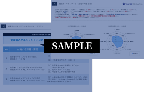 実態調査&分析：組織に関する現状分析サンプル画像②