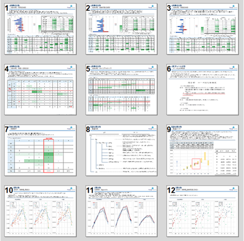 報告会：現状分析報告書イメージ※一部抜粋