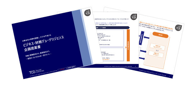 ビジネス・財務デューデリジェンスコンサルティング