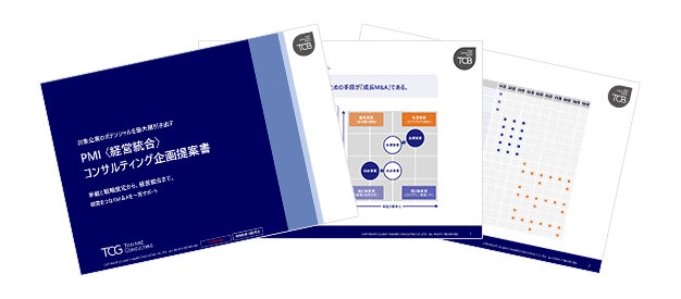 PMIコンサルティング　サービス資料