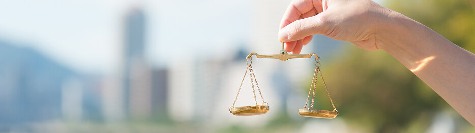 譲受企業・譲渡企業で異なる判断軸