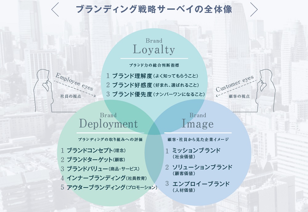 ブランディング戦略サーベイの全体像