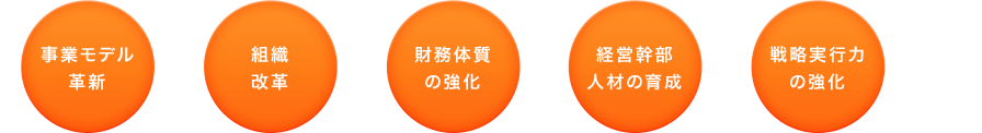 事業モデル革新、組織改革、財務体質の強化、経営幹部人材の育成、戦略実行力の強化