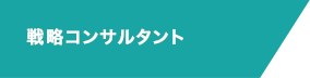 LV4-A 戦略コンサルタント