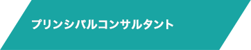LV4-B プリンシパルコンサルタント