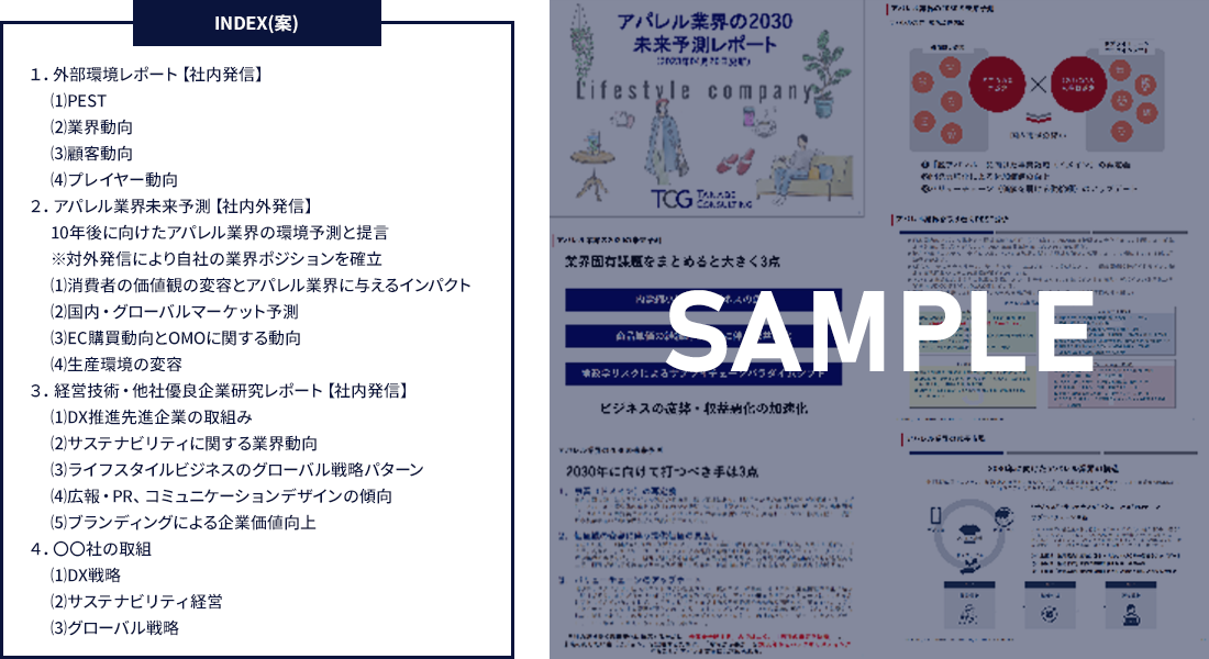 長期ビジョン・中期経営計画コンサルティング：中期経営計画のレビューからレポーティングまで