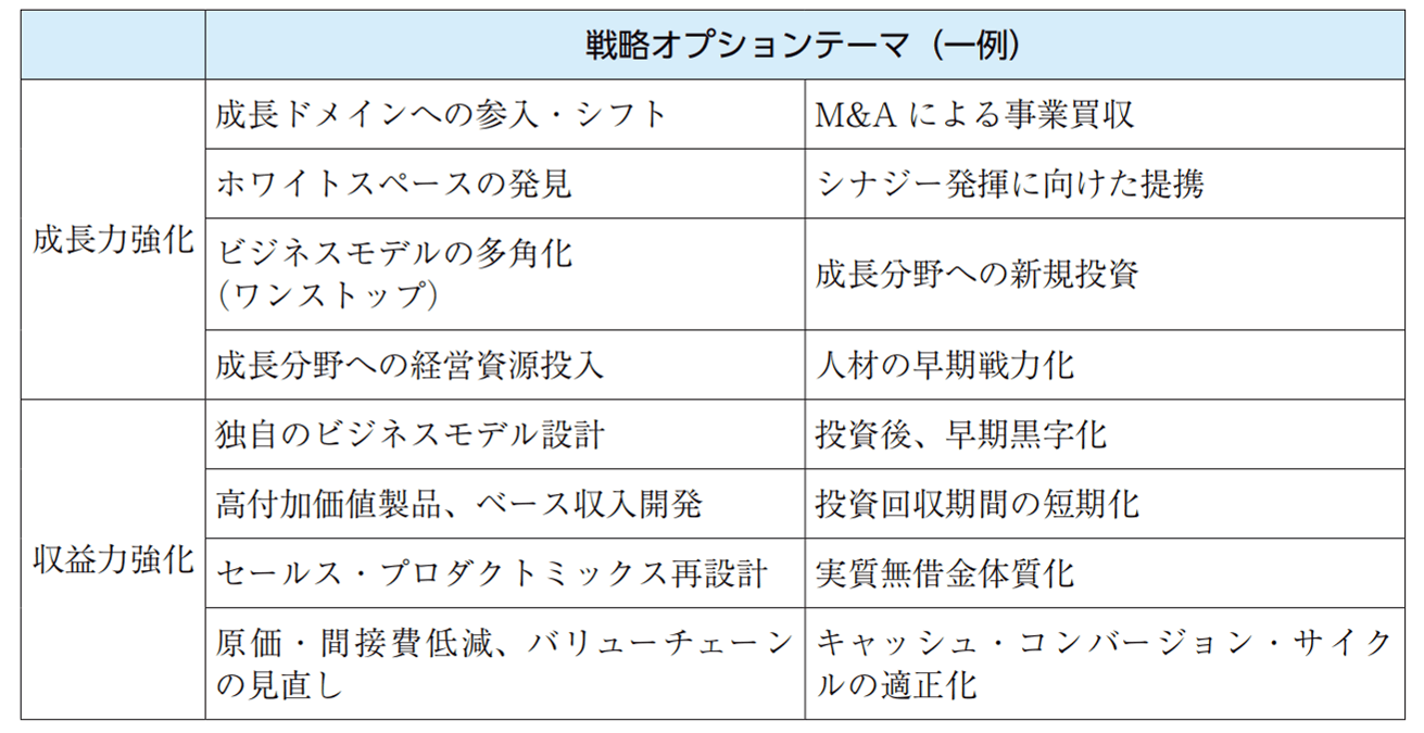 戦略オプションテーマの検討