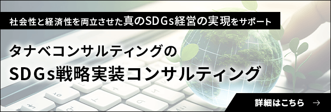 SDGs戦略実装コンサルティング