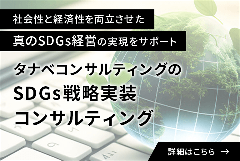 SDGs戦略実装コンサルティング