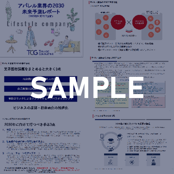 長期ビジョン・中期経営計画コンサルティング：中期経営計画のレビューからレポーティングまで