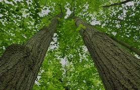 市場と製品の2軸で成長のための戦略を整理