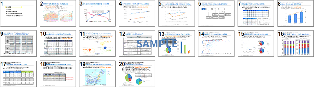 市場調査分析レポート 抜粋サンプル