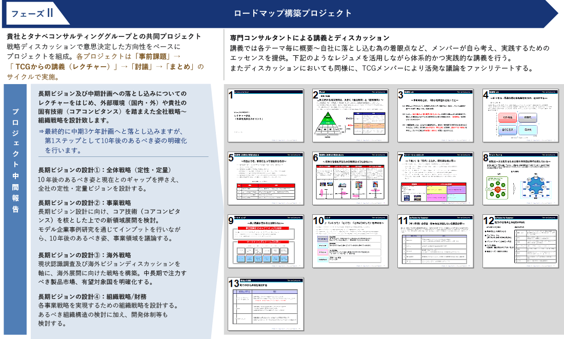 個別調査の実施（タナベコンサルティング主体）