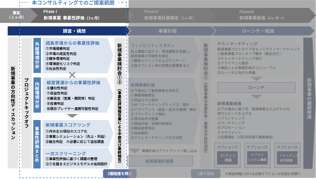 事業性評価型　新規事業開発コンサルティング