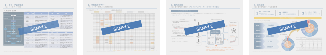 現状分析・事業ポートフォリオ戦略骨子策定