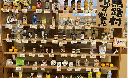 オーガニックビレッジ宣言