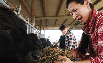 郷土愛から生まれた石垣牛ブランドと地域おこし