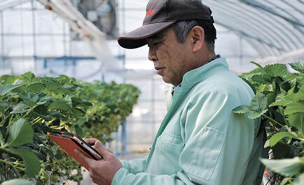 持続可能な農業づくりへの貢献：ウォーターセル株式会社