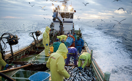 最新のテクノロジーで食品流通の最適化を目指す：いずみホールディングス