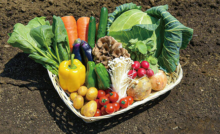 需要激減の業務用食材を格安で提供する「ドライブスルー八百屋」：FOOD SUPPLY