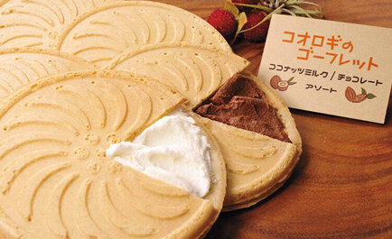 FUTURENAUT：昆虫食の普及を推進する大学発ベンチャー