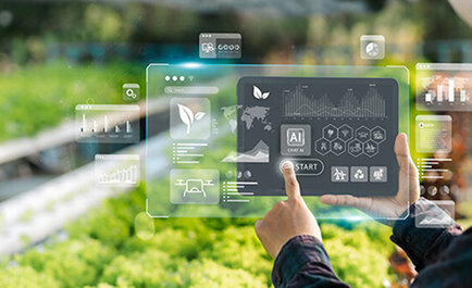 食品製造業における中期経営計画の策定と実行戦略