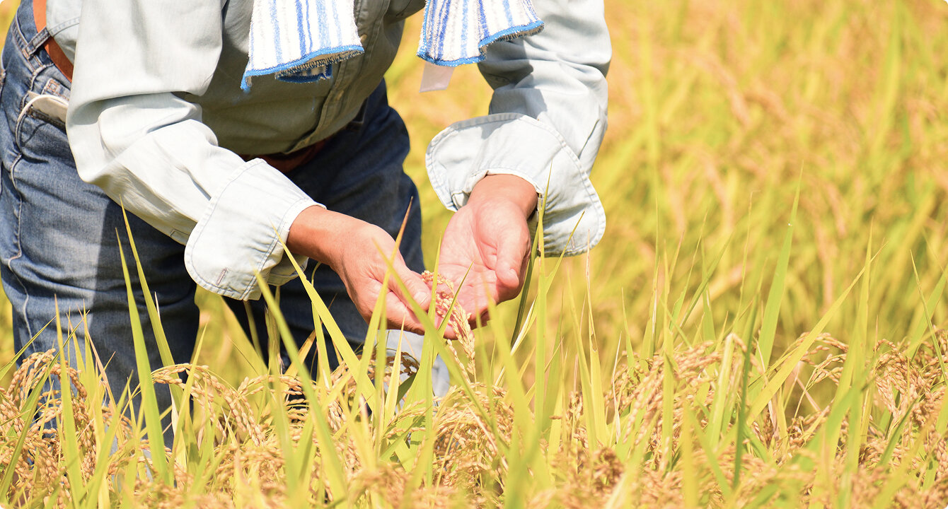 人的資本経営コンサルティング