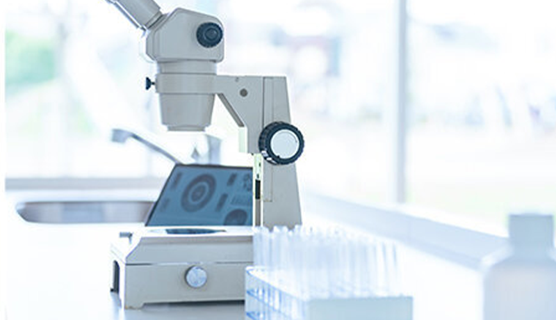 化学メーカーにおける人事評価制度策定のポイント