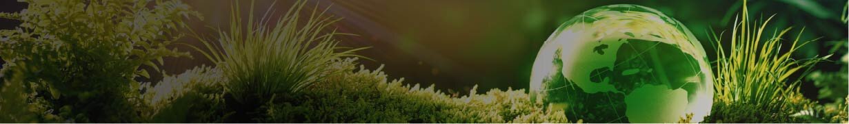 SDGs経営モデル構築