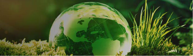 SDGs経営モデル構築