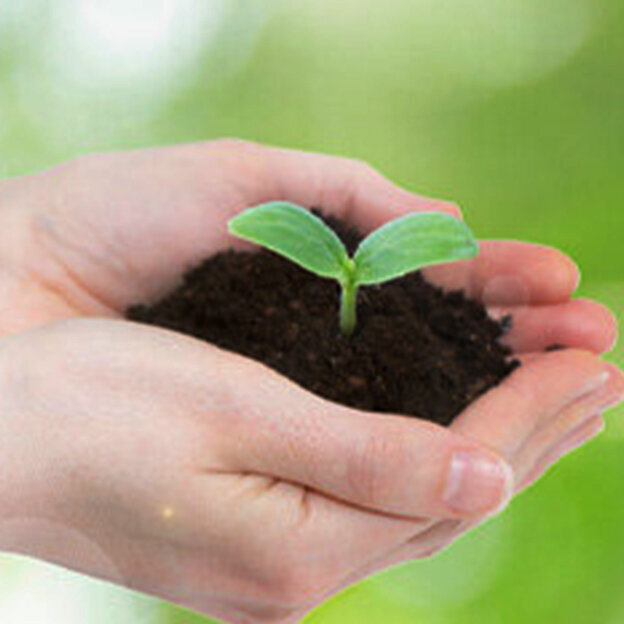 効果的な人材育成ロードマップの作成方法とは？