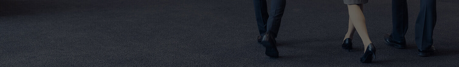 パーパス浸透施策推進支援(※オプション)