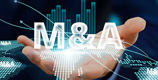 クロスボーダーM&Aの一連の支援を実施