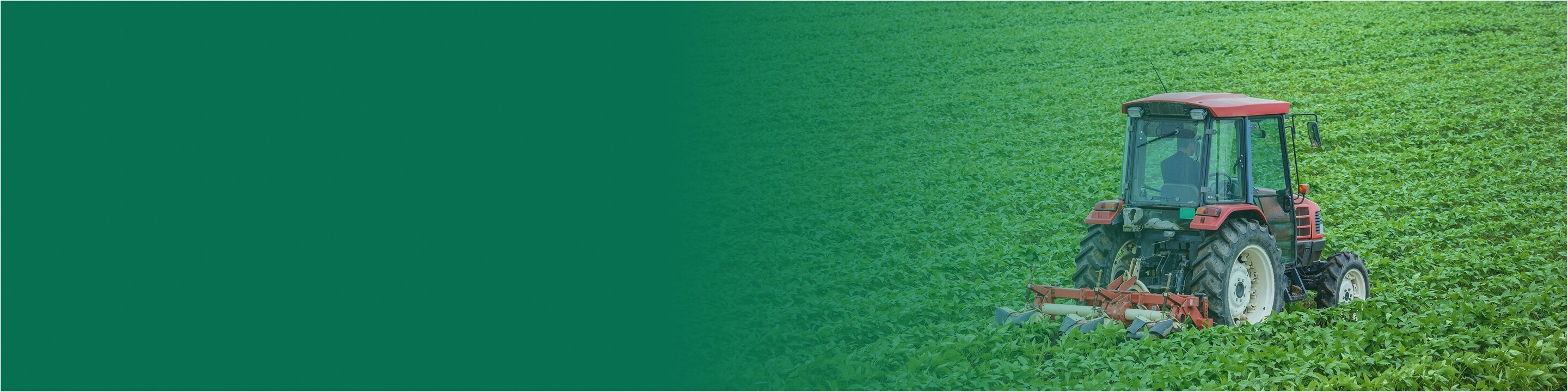 食品ビジネスのビジネスモデル改革コンサルティング