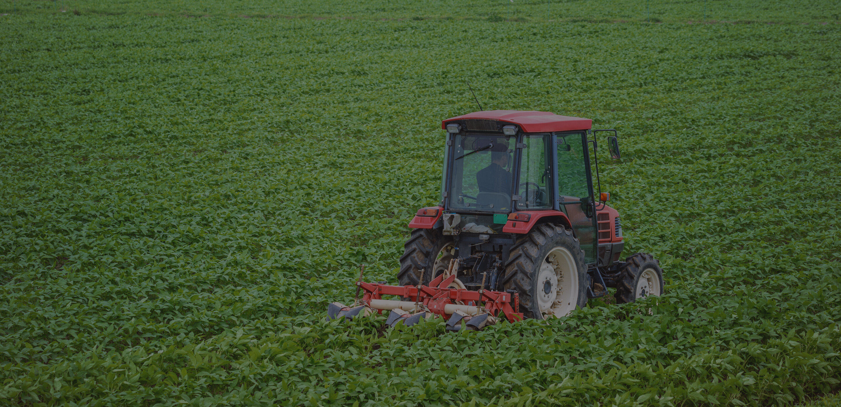 ビジネスモデル革新コンサルティング