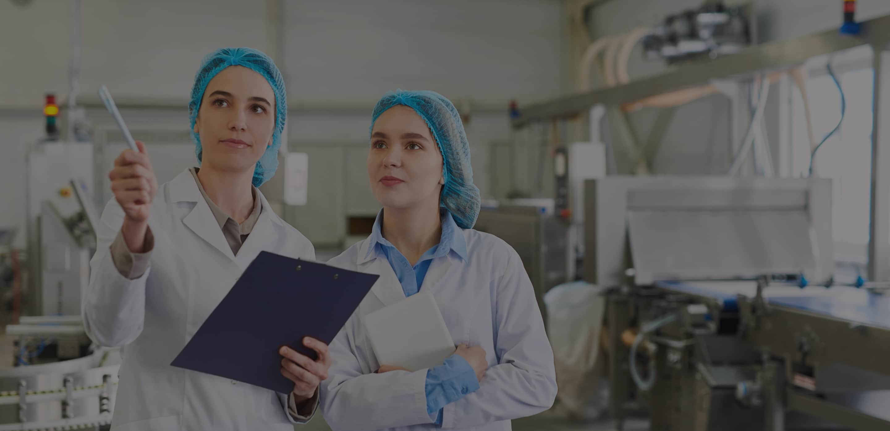 ホールディング・グループ経営体制構築コンサルティング